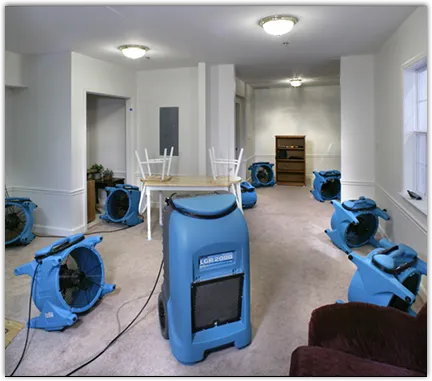 Odor Removal & Deodorization in La Puente, CA