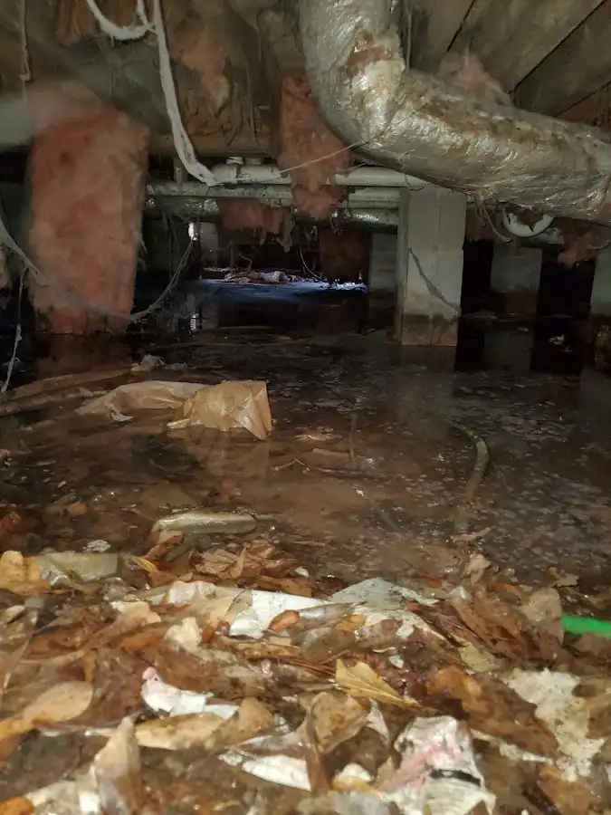 Crawl space flood assessment for Leak Detection & Repair in La Puente